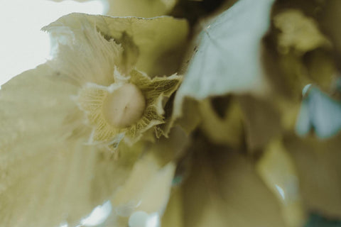 Réservez votre événement privé