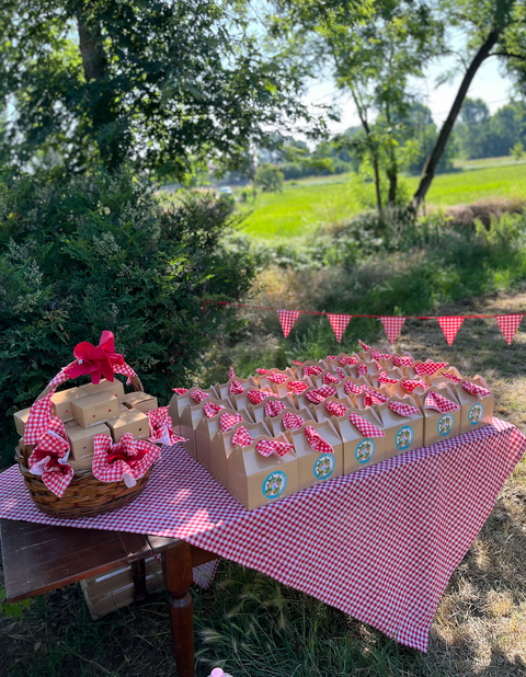 Ciocco Merenda