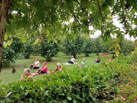 Lezione di Yoga