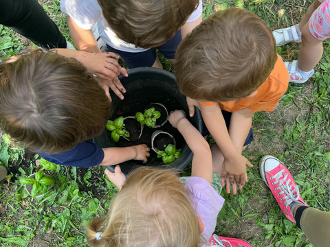 PETITS JARDINIERS